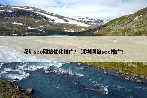 深圳seo网站优化推广？ 深圳网络seo推广？