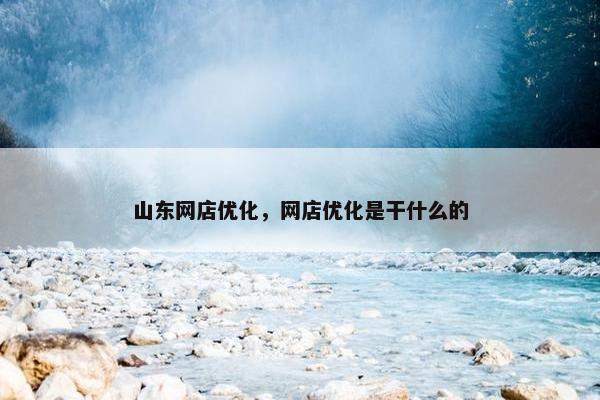 山东网店优化，网店优化是干什么的