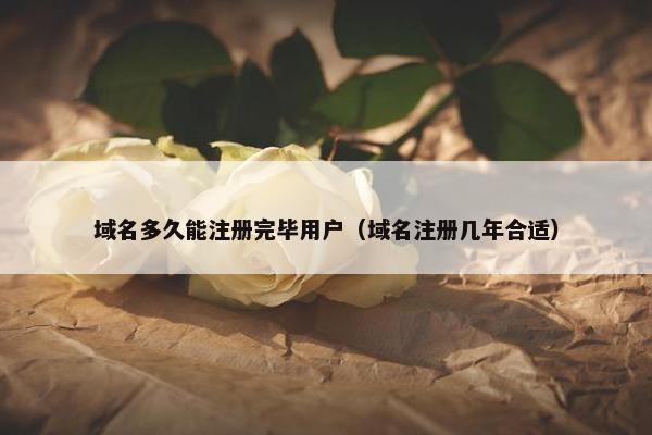 域名多久能注册完毕用户（域名注册几年合适）