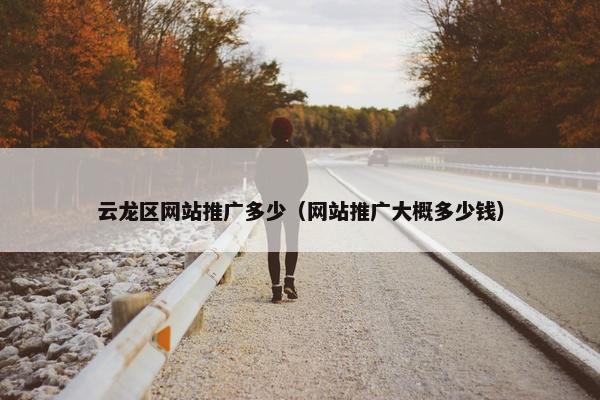 云龙区网站推广多少（网站推广大概多少钱）