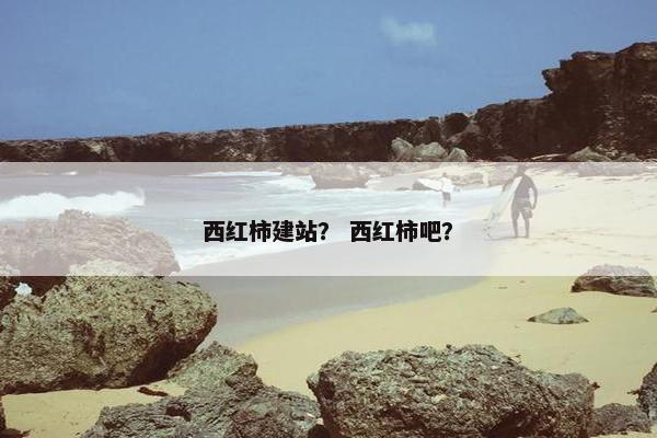 西红柿建站？ 西红柿吧？