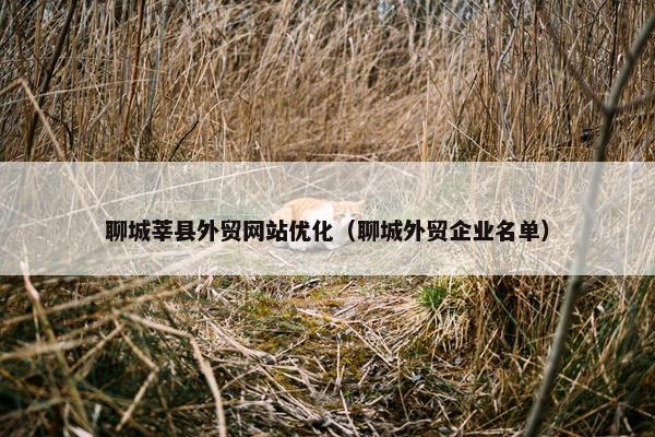 聊城莘县外贸网站优化（聊城外贸企业名单）