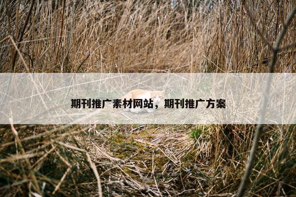 期刊推广素材网站，期刊推广方案