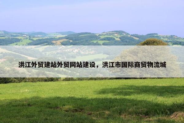 洪江外贸建站外贸网站建设，洪江市国际商贸物流城