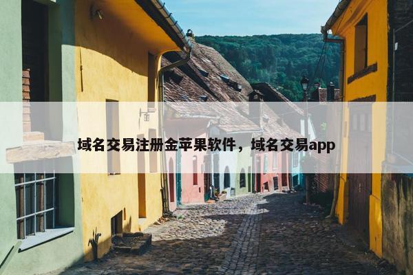 域名交易注册金苹果软件，域名交易app