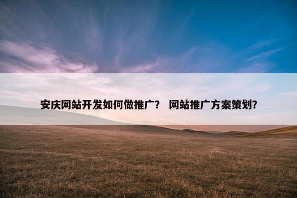 安庆网站开发如何做推广？ 网站推广方案策划？
