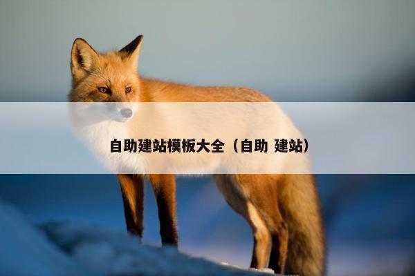 自助建站模板大全（自助 建站）