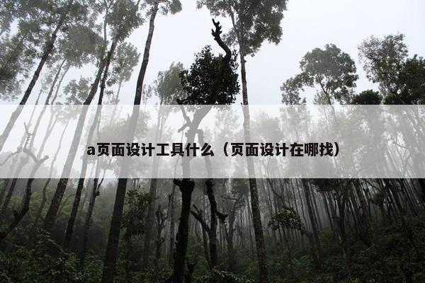 a页面设计工具什么（页面设计在哪找）