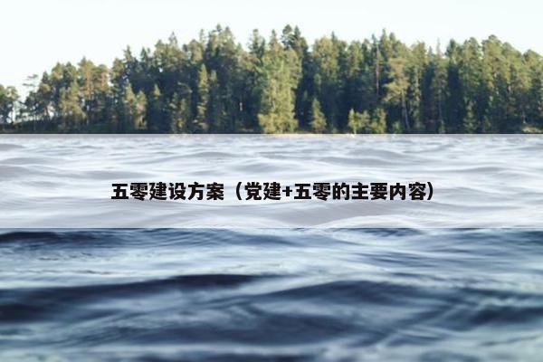 五零建设方案（党建+五零的主要内容）