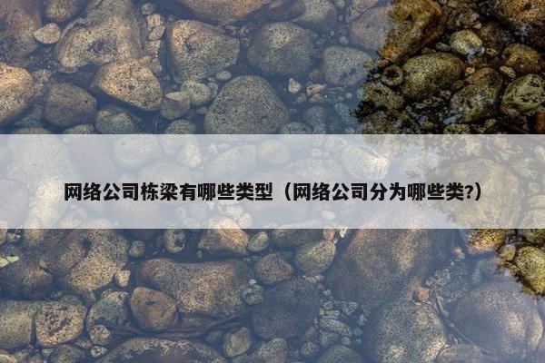 网络公司栋梁有哪些类型（网络公司分为哪些类?）