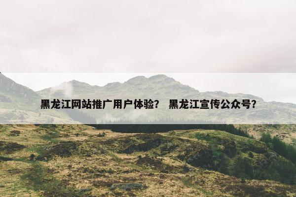 黑龙江网站推广用户体验？ 黑龙江宣传公众号？