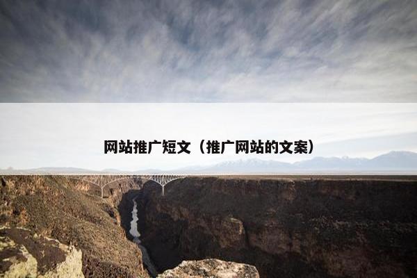 网站推广短文（推广网站的文案）
