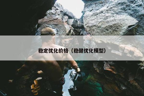 稳定优化价格（稳健优化模型）