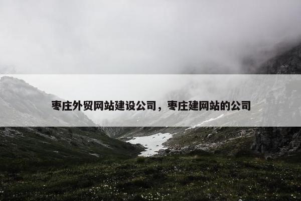 枣庄外贸网站建设公司，枣庄建网站的公司