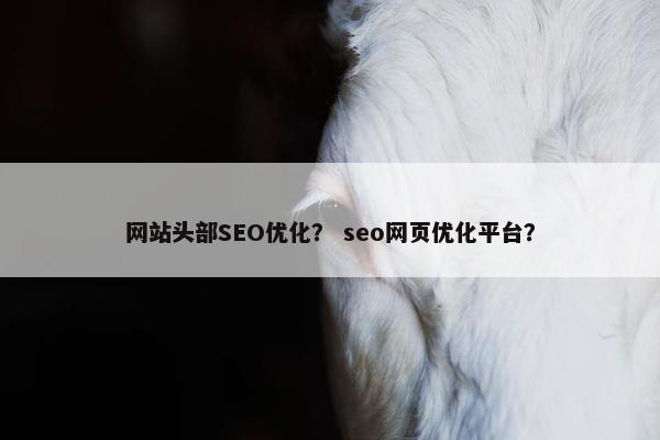 网站头部SEO优化？ seo网页优化平台？