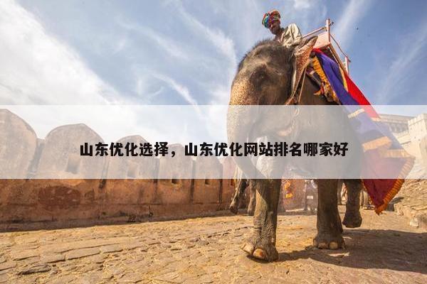 山东优化选择，山东优化网站排名哪家好