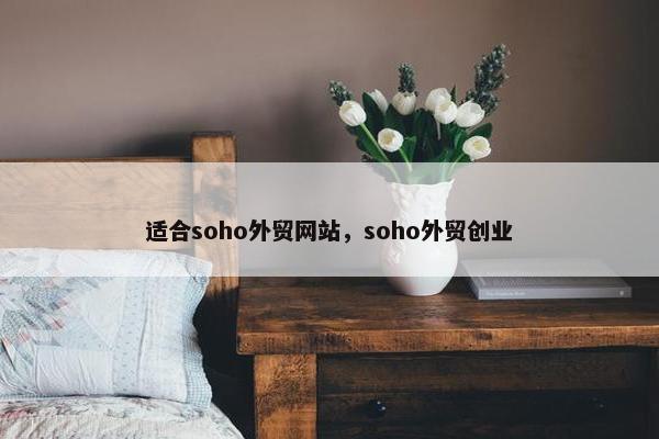 适合soho外贸网站，soho外贸创业