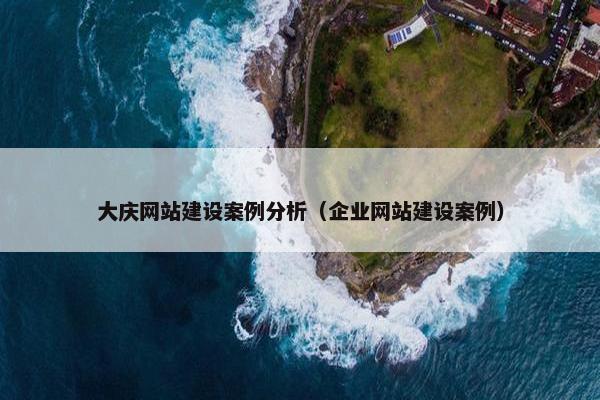 大庆网站建设案例分析（企业网站建设案例）
