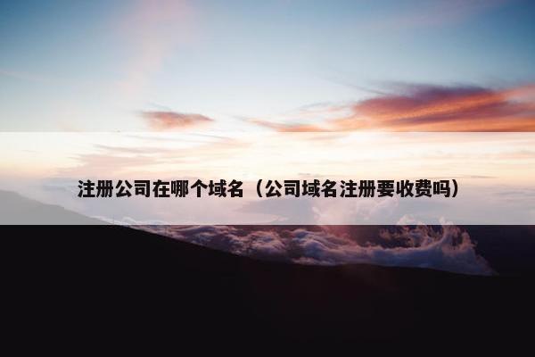 注册公司在哪个域名（公司域名注册要收费吗）