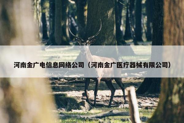 河南金广电信息网络公司（河南金广医疗器械有限公司）