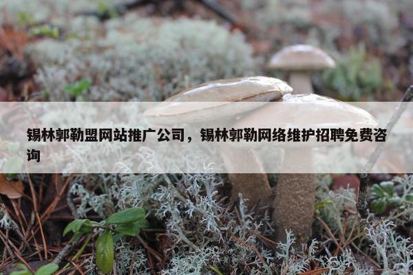 锡林郭勒盟网站推广公司，锡林郭勒网络维护招聘免费咨询