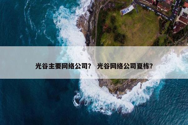 光谷主要网络公司？ 光谷网络公司夏栋？