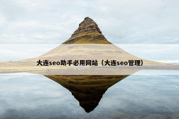 大连seo助手必用网站（大连seo管理）