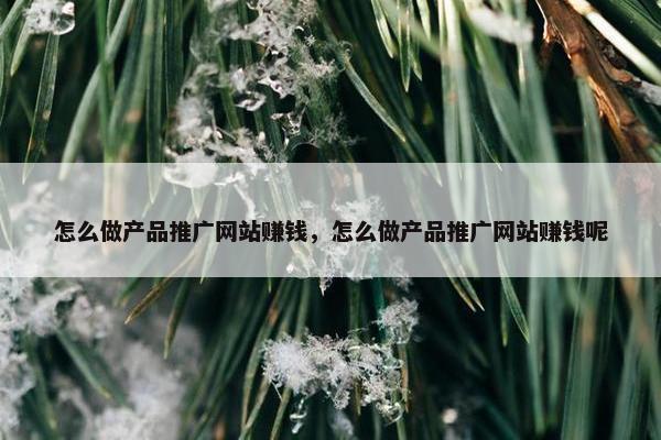 怎么做产品推广网站赚钱，怎么做产品推广网站赚钱呢