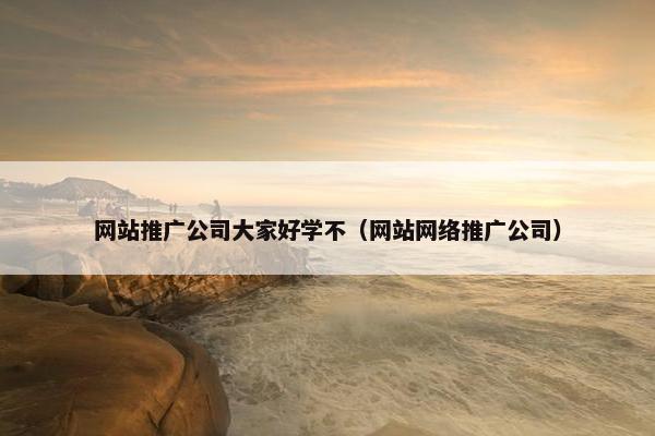 网站推广公司大家好学不（网站网络推广公司）
