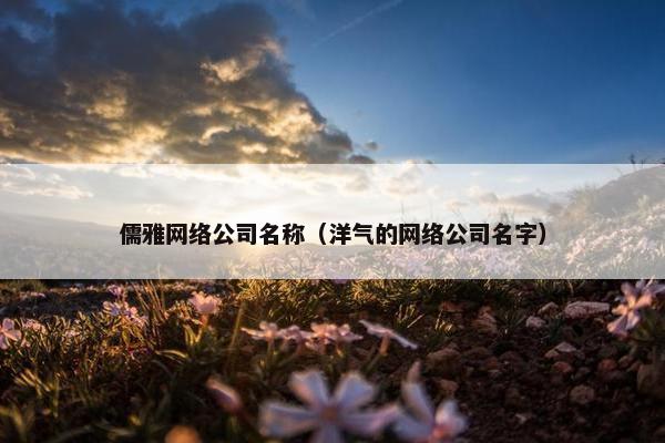 儒雅网络公司名称（洋气的网络公司名字）