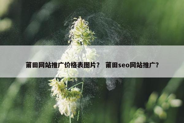 莆田网站推广价格表图片？ 莆田seo网站推广？