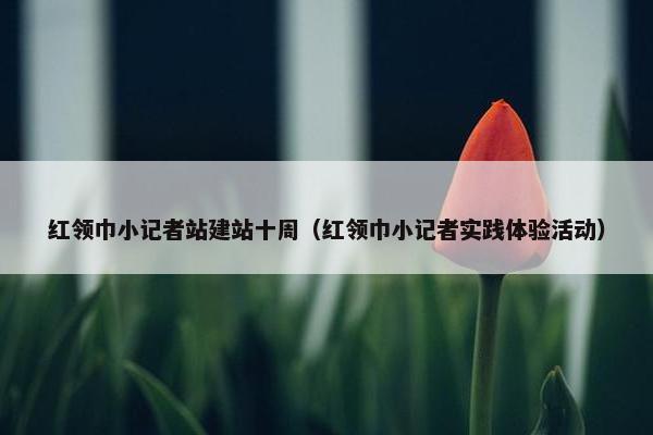 红领巾小记者站建站十周（红领巾小记者实践体验活动）