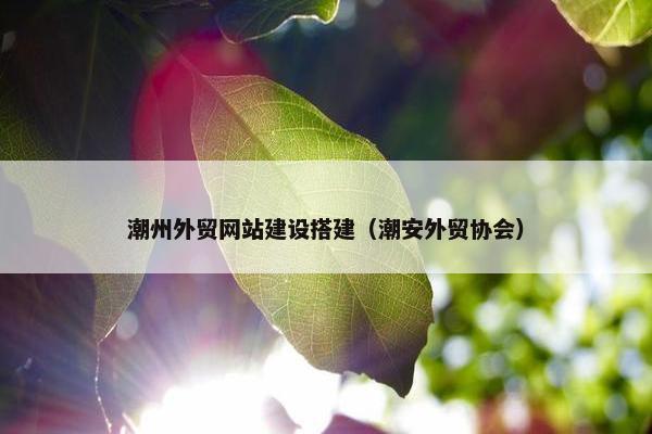 潮州外贸网站建设搭建（潮安外贸协会）
