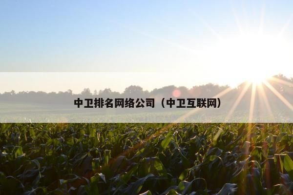 中卫排名网络公司（中卫互联网）