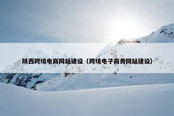 陕西跨境电商网站建设（跨境电子商务网站建设）