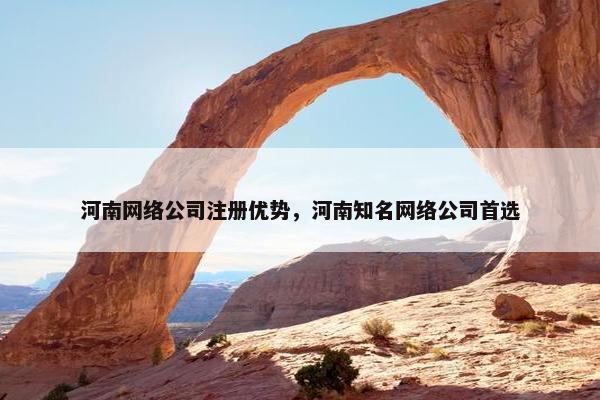 河南网络公司注册优势，河南知名网络公司首选