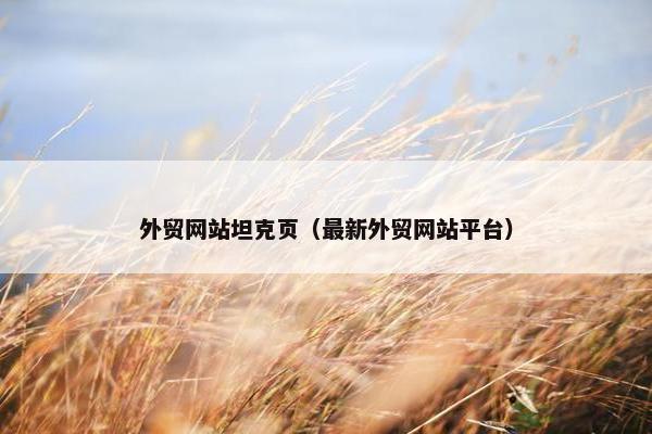 外贸网站坦克页（最新外贸网站平台）