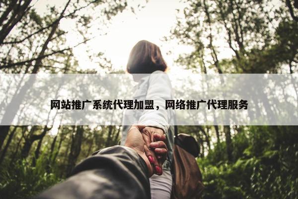 网站推广系统代理加盟，网络推广代理服务