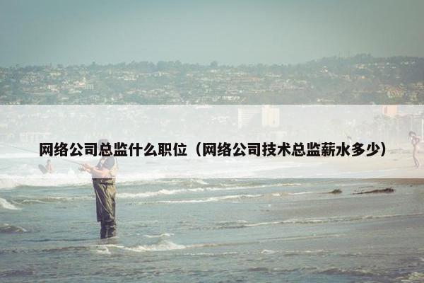 网络公司总监什么职位（网络公司技术总监薪水多少）