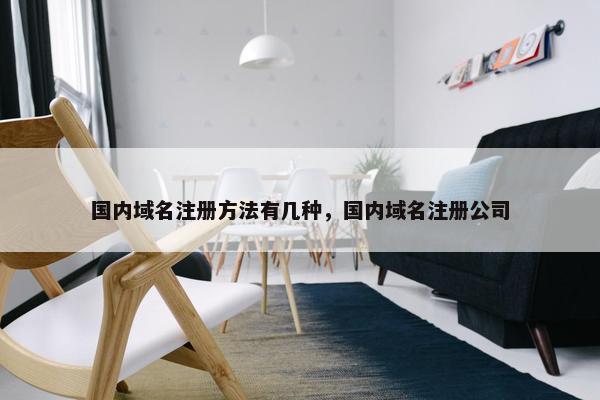 国内域名注册方法有几种，国内域名注册公司