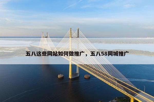 五八这些网站如何做推广，五八58同城推广