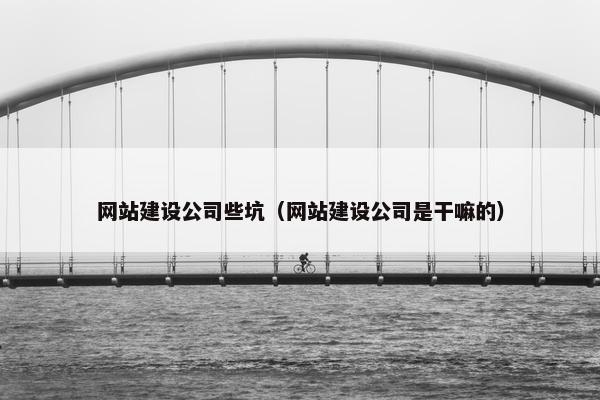 网站建设公司些坑（网站建设公司是干嘛的）