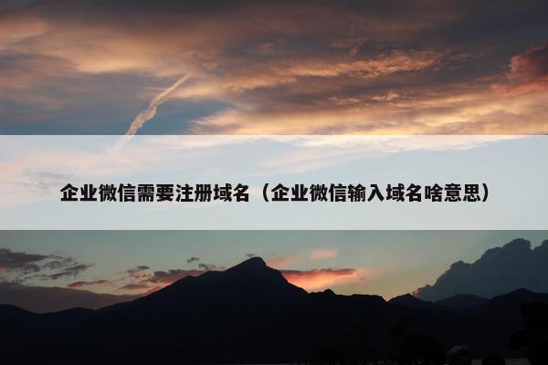 企业微信需要注册域名（企业微信输入域名啥意思）