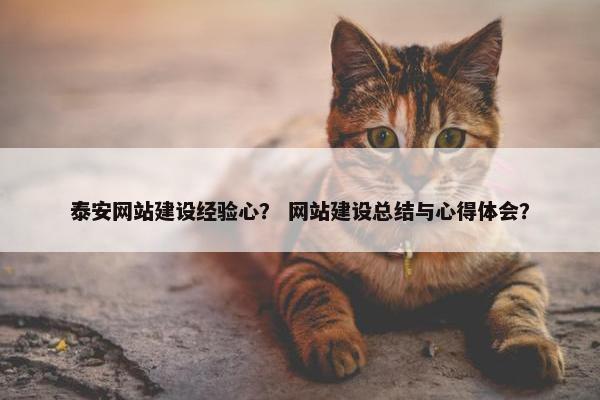 泰安网站建设经验心？ 网站建设总结与心得体会？