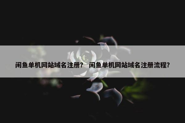 闲鱼单机网站域名注册？ 闲鱼单机网站域名注册流程？