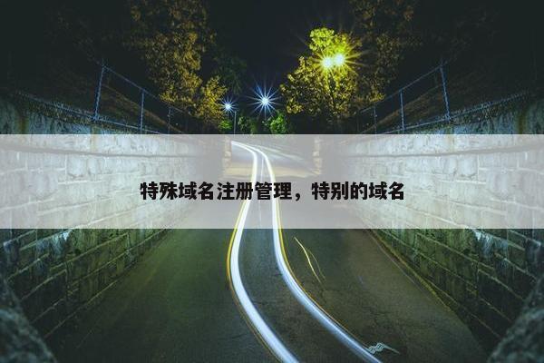 特殊域名注册管理，特别的域名
