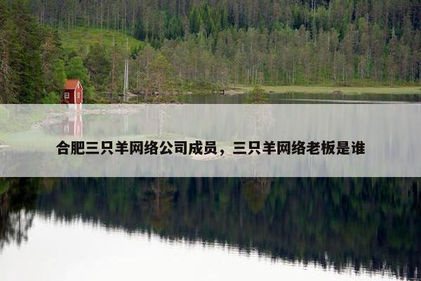 合肥三只羊网络公司成员，三只羊网络老板是谁