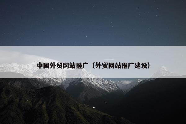 中国外贸网站推广（外贸网站推广建设）