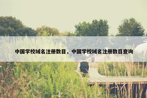 中国学校域名注册数目，中国学校域名注册数目查询