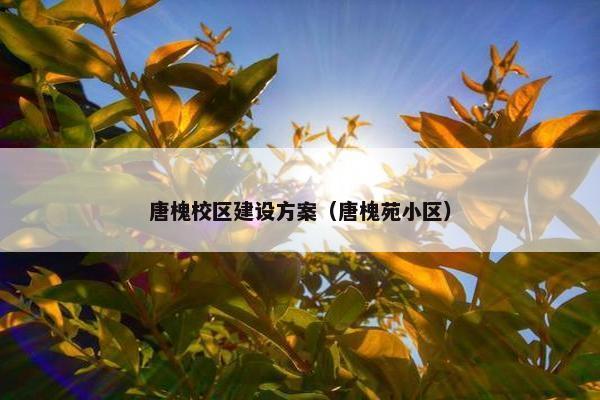 唐槐校区建设方案（唐槐苑小区）